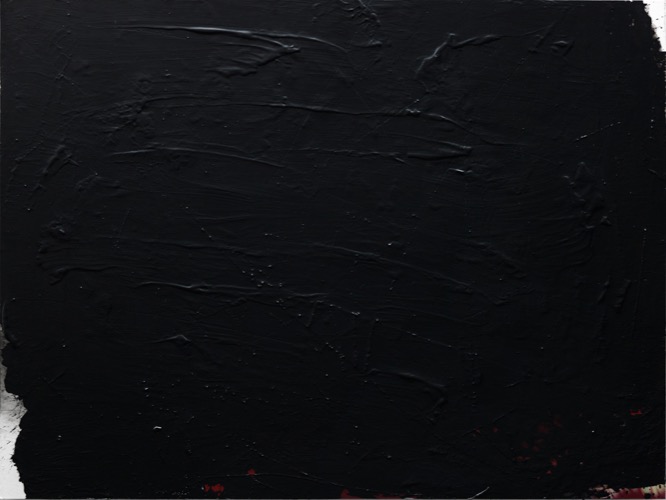 Blumen III/2016-5, Fotografie auf LupuBond Classic, mit Acryl schwarz übermalt, 90 x 120 cm